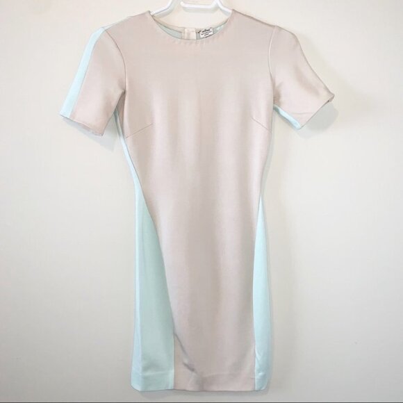 Aritzia Wilfred Mignonne Mini Dress Bodycon Short Sleeve Taupe Colorblock XS - Picture 3 of 12
